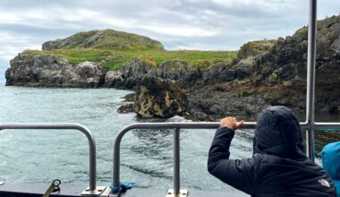 On Ireland’s Eye, a roll-out of measures to better protect the birds