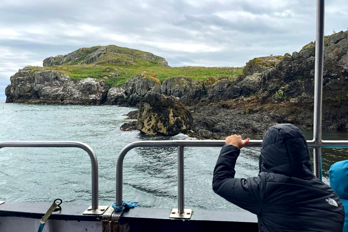 On Ireland’s Eye, a roll-out of measures to better protect the birds