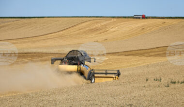 Harvest in Moldova's Taraclia District Progressing Rapidly with Yields Up 50% from Last Year