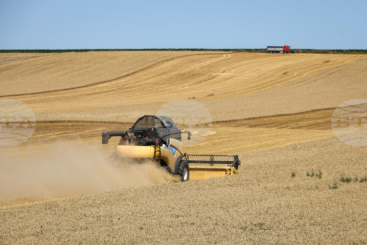 Harvest in Moldova's Taraclia District Progressing Rapidly with Yields Up 50% from Last Year