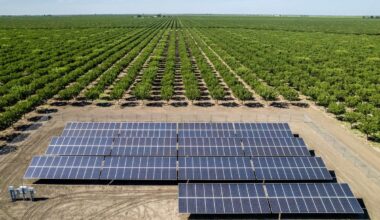 Wind and Solar Energy Are Cheaper Than Electricity from Fossil-Fuel Plants