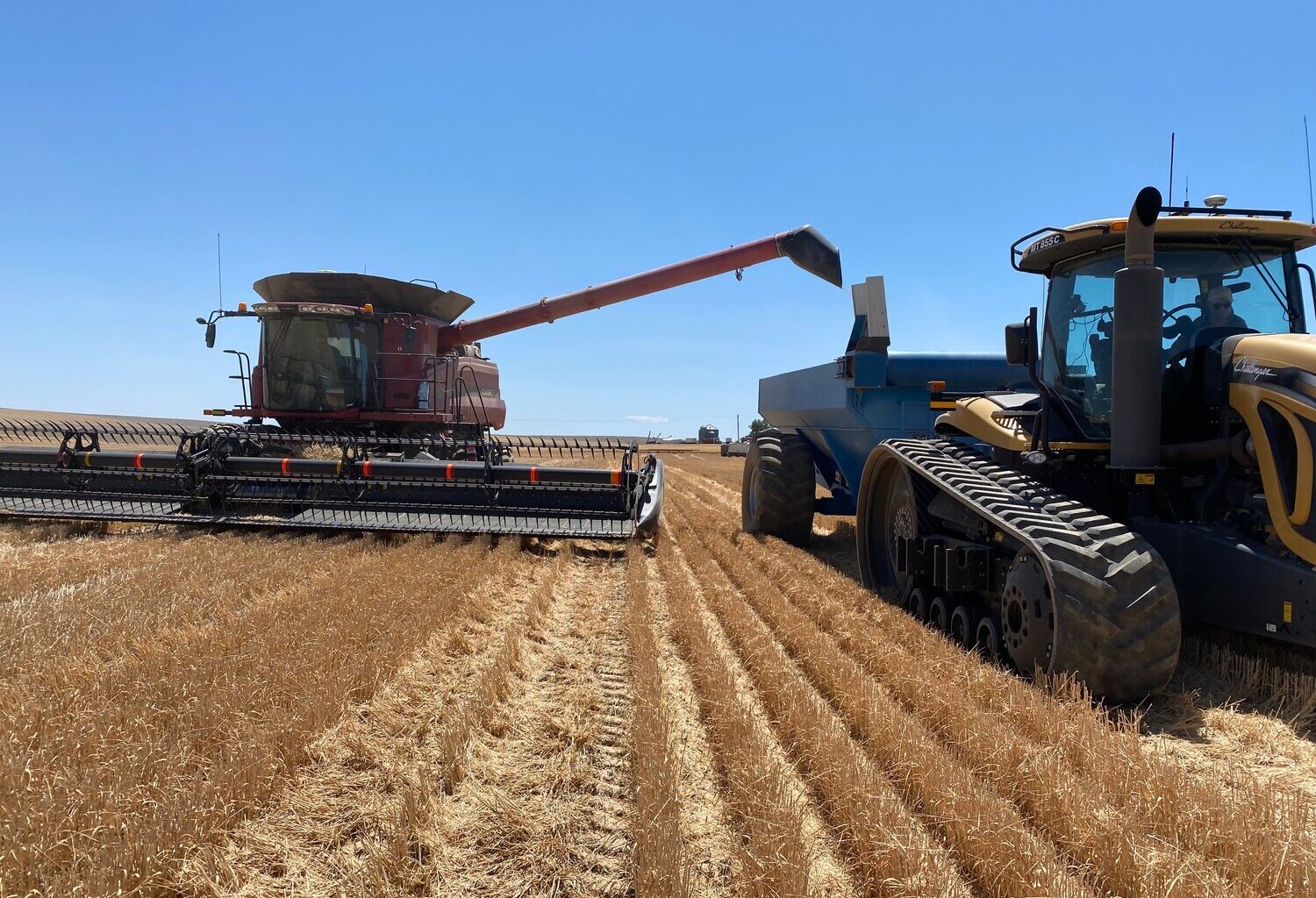 The Tariff Trap — When Tough Talk Costs Us the Farm — Columbia Community Connection News Mid-Columbia Region