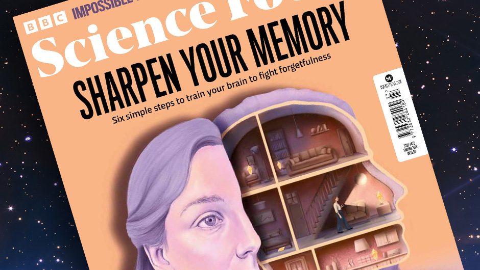 New issue: Sharpen your memory
