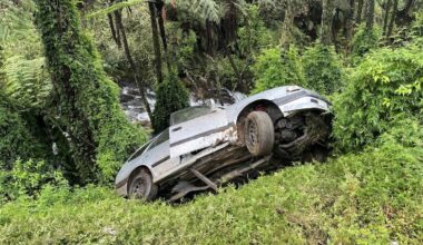 Driver in Bay of Plenty rescued from crashed car hanging in ponga trees