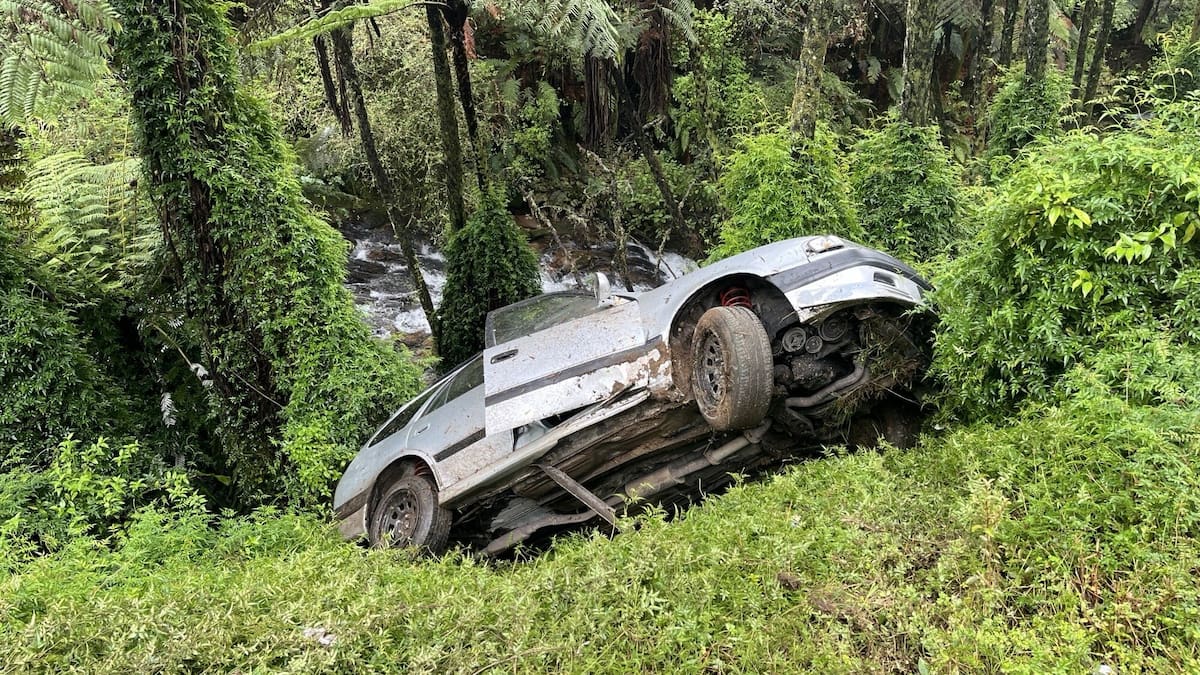 Driver in Bay of Plenty rescued from crashed car hanging in ponga trees
