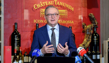 Albanese will meet with Xi next week on a trip focused on Australia-China business ties