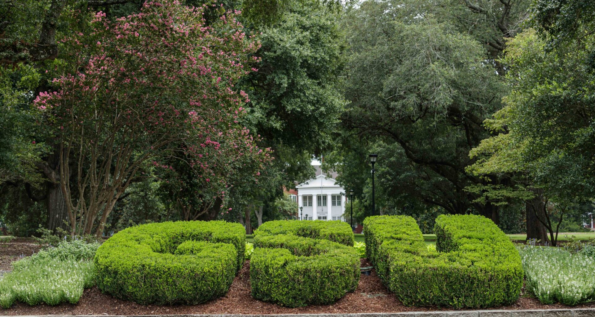 Georgia Southern University’s online computer science degree ranked sixth in the nation for affordability