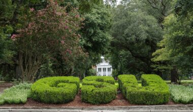 Georgia Southern University’s online computer science degree ranked sixth in the nation for affordability