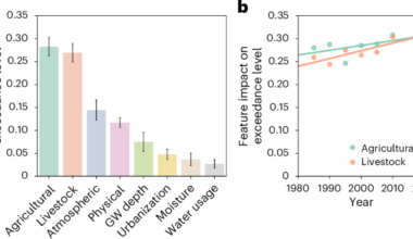 Cutting just 10% of meat from American diets could reduce groundwater nitrate levels by up to 20%, a new study finds. This shift may also cut fertilizer use by 3.4%, slash manure output by 10.7%, and lower water consumption by 4.5%, boosting environmental health.