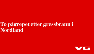 To pågrepet etter gressbrann i Nordland
