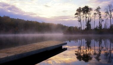 A love letter to Canada