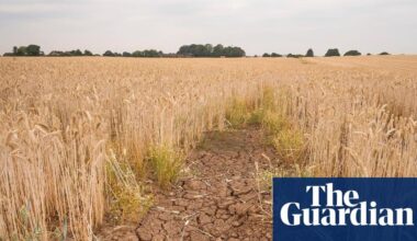 ‘Climateflation’ could push up UK food prices by more than a third by 2050, report says