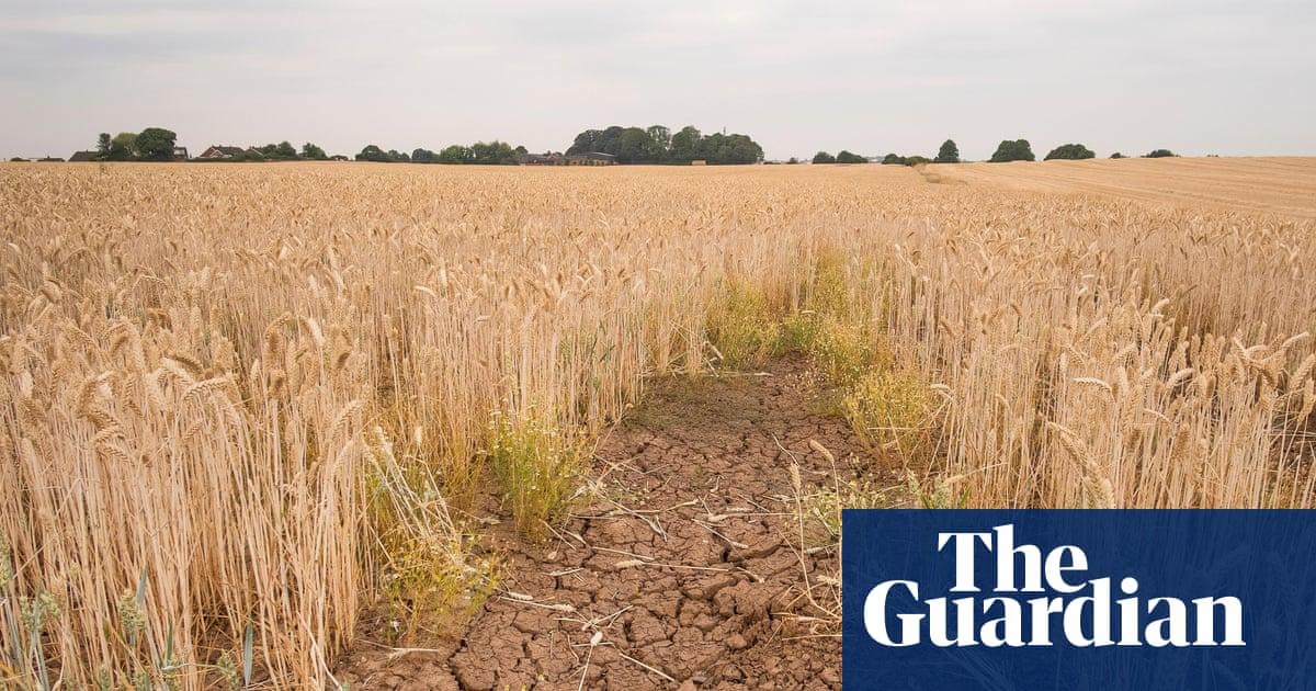 ‘Climateflation’ could push up UK food prices by more than a third by 2050, report says