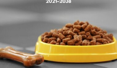 Spain Pet Food Market Primed for Strong Growth 2021 to 2038 in USD Million