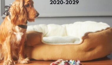 Italy Pet Toys Market Expands with Eco Smart Trends 2020-2029