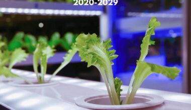 Smart Hydroponic Tech Fuels Indonesia Agriculture 2020 to 2029