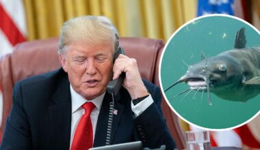 "Ich werde das in drei Tagen beenden": Trump will mit Wels im Brombachsee telefonieren