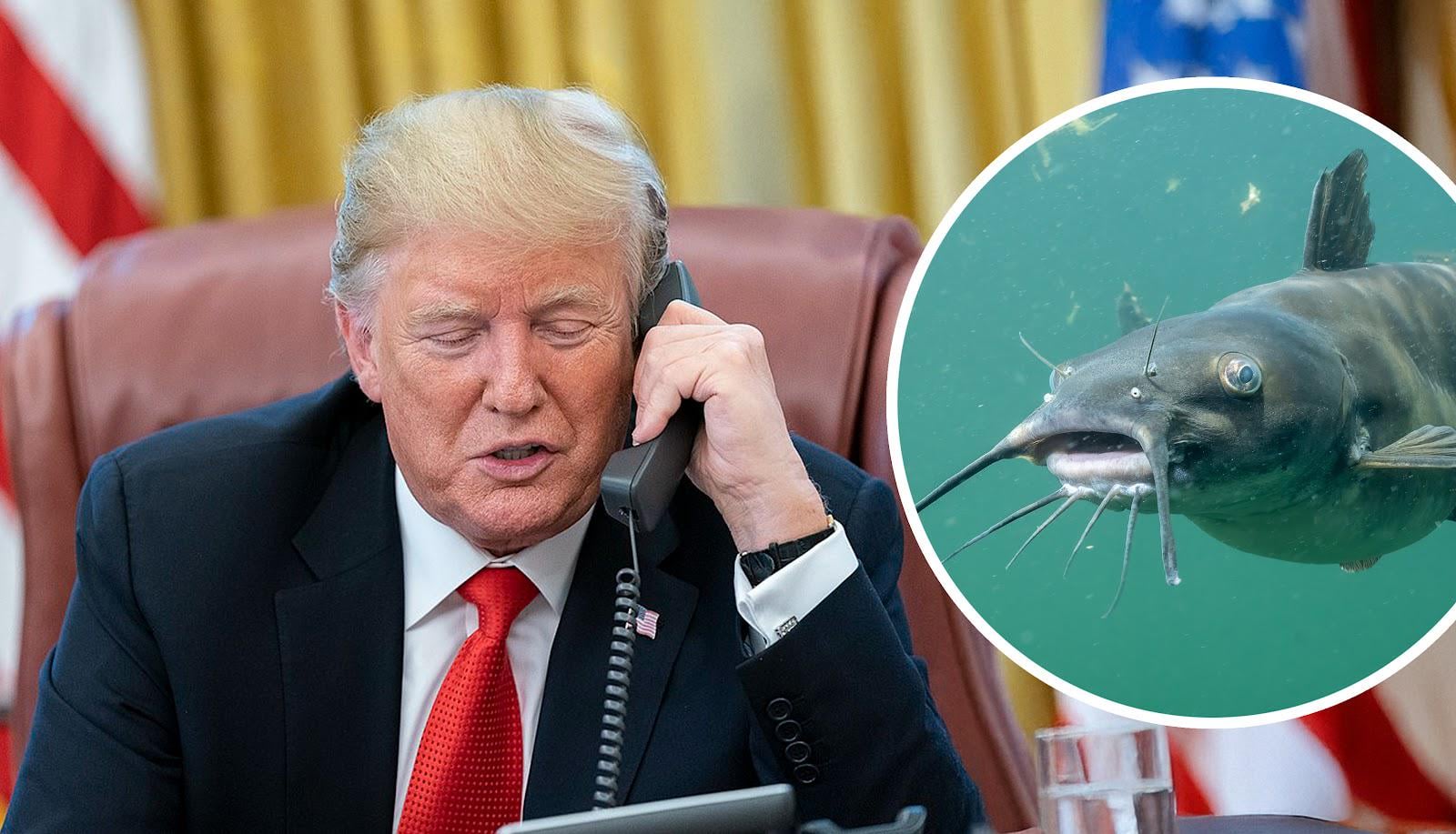 "Ich werde das in drei Tagen beenden": Trump will mit Wels im Brombachsee telefonieren