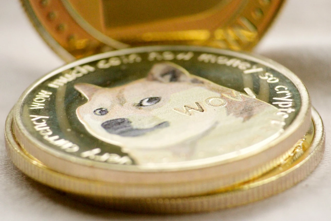 DOGE Contributor Warns Against "Earn" Programs as Price Holds $0.17