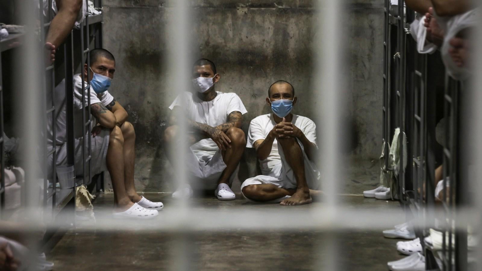 El Salvador Admits Trump Has Custody of Migrants He Put In Its Prisons