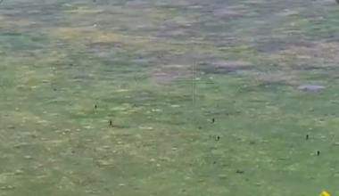 Russian infantry assaults repelled by Ukrainian mortar crew and drone operators on the Zaporizhzhia front [mid July 2025]