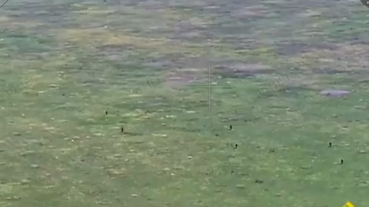 Russian infantry assaults repelled by Ukrainian mortar crew and drone operators on the Zaporizhzhia front [mid July 2025]