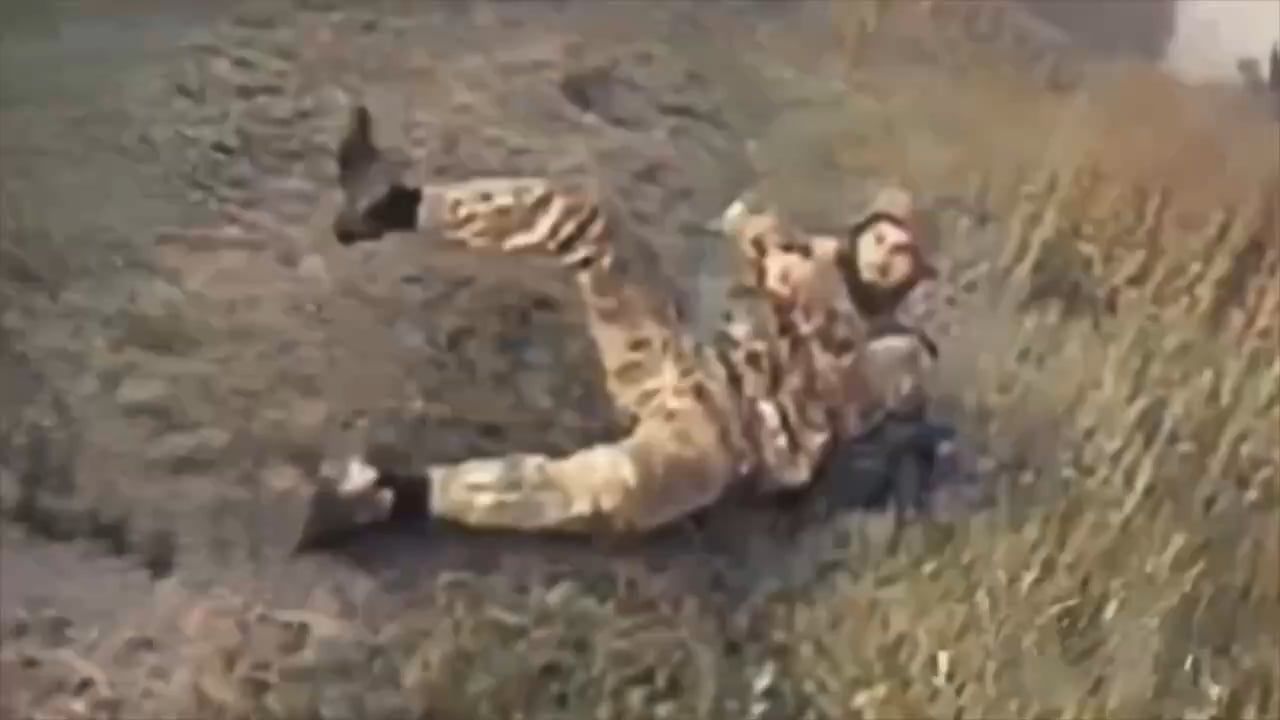 Ukrainian drones ambushing multiple Russian soldiers. Sumy Oblast, 2025.