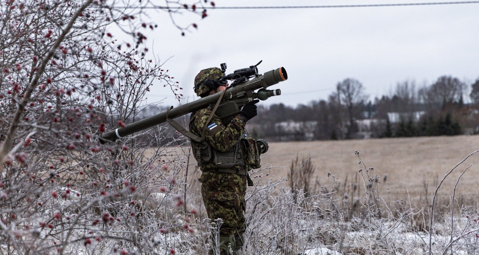 Estonia will buy more Piorun missiles