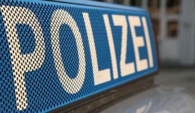 In Österreich amtsbekannt: Syrer ging mit Hammer und Axt in ICE auf Zuggäste los