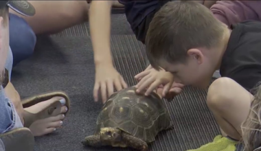 Finding the love of science with the annual Science Alive Program