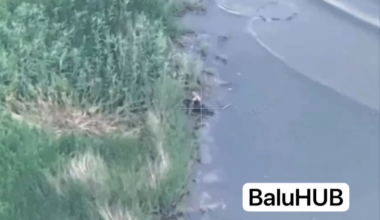 Russian soldier get hit by a Ukrainian FPV drone