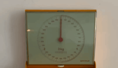 Wall-mounted kitchen scale