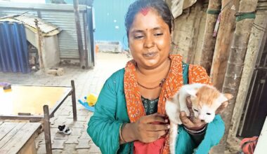 Hindu refugees in Majnu Ka Tila, Hindu refugees, Majnu Ka Tila, Delhi Development Authority, dda, delhi news, India news, Indian express, current affairs