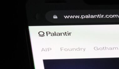 Constitutional complaint against Palantir deployment in Germany