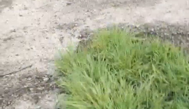 A russian deminer stepped on a mine