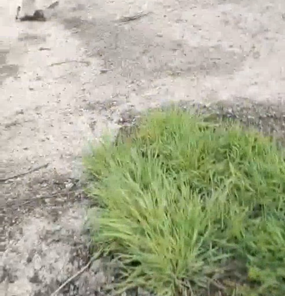 A russian deminer stepped on a mine