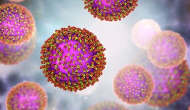 New measles cases: Three infected people visit Masterton Pak’nSave, Carterton library