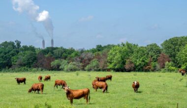 Breaking: The EPA is trying to undo one of the most important climate protections in U.S. history!