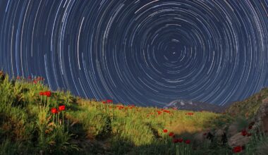This summer has seen the shortest days in Earth’s recorded history