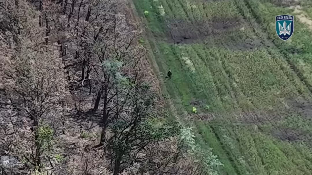 After being wounded by a drone-dropped grenade, a russian invader killed himself with his own grenade. The strike was carried out by Ukraine’s 414th UAV Brigade, 'Birds of Magyar.' The video was posted on July 27, 2025