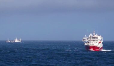 week 20 2024 norwegian pelagic