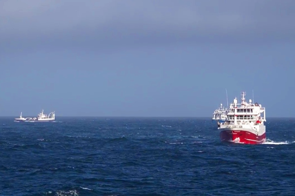 week 20 2024 norwegian pelagic