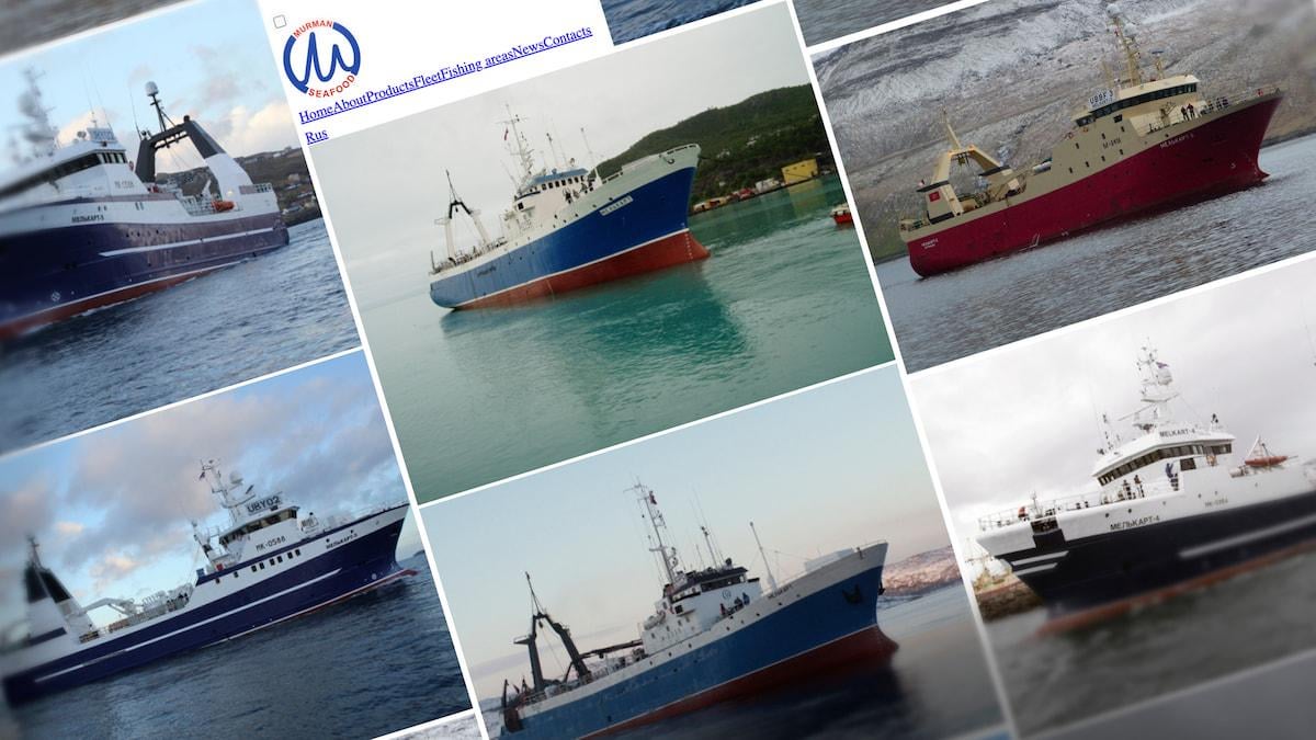 Færøerne byder som de eneste i Europa spionagemistænkt russisk skib velkomment: 'Hvor pinligt kan det blive?'