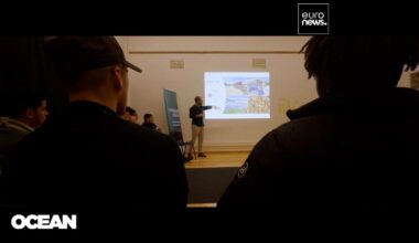 Integrating young offenders through the blue economy