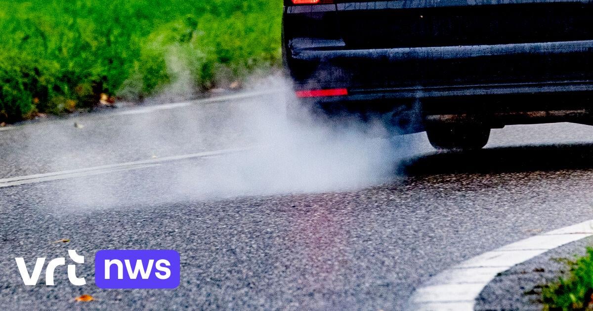 Flemmings lose 13 healthy months of their life due to exposure to fine dust