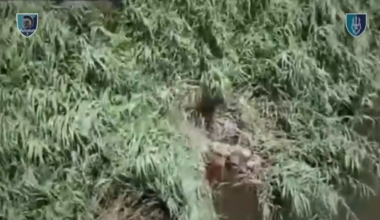 Russian Soldier In Water gets Eliminated by Ukrainian Drone