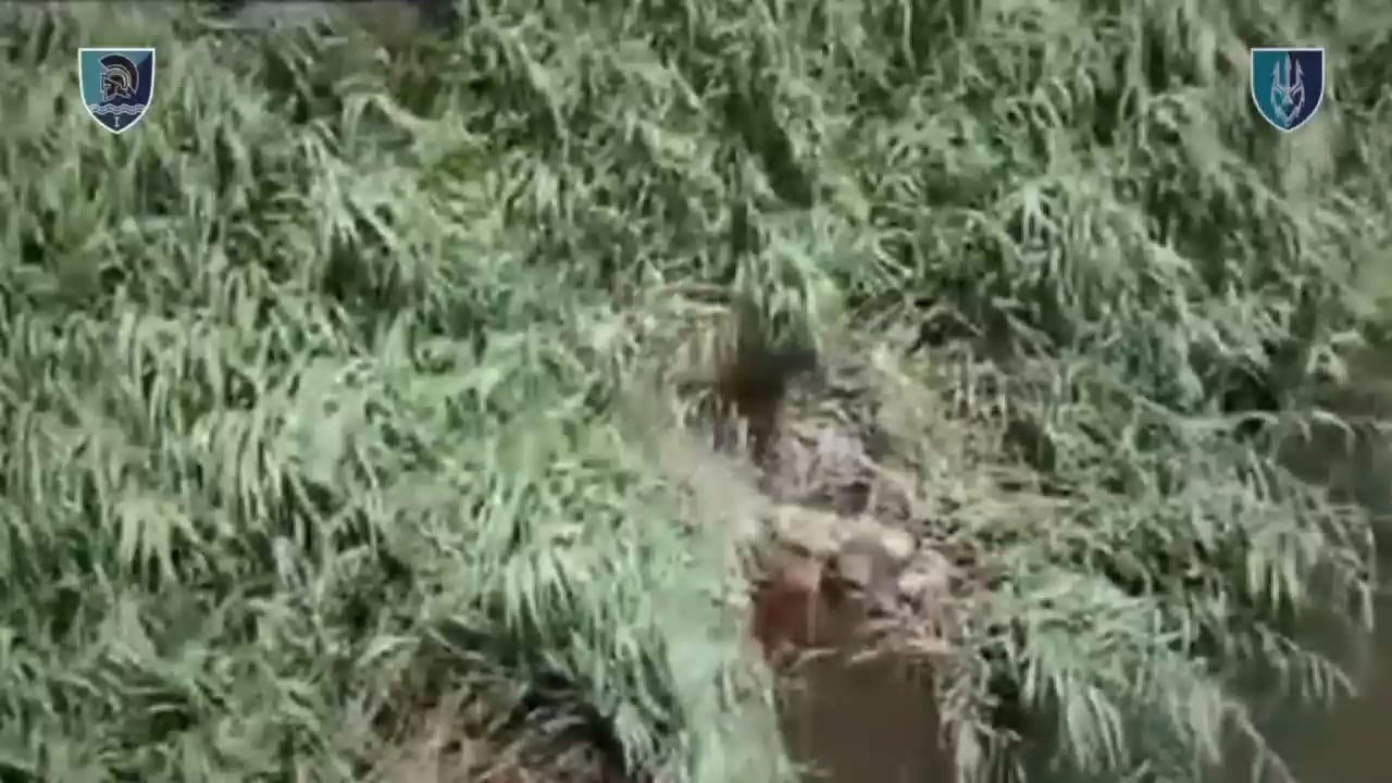 Russian Soldier In Water gets Eliminated by Ukrainian Drone