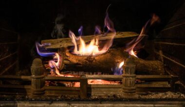 Campagne van Milieu Centraal tegen stoken van hout mag doorgaan