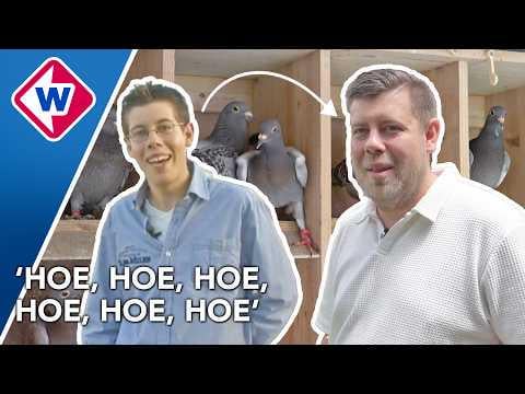 HOE is het nu met de duivenmeneer?