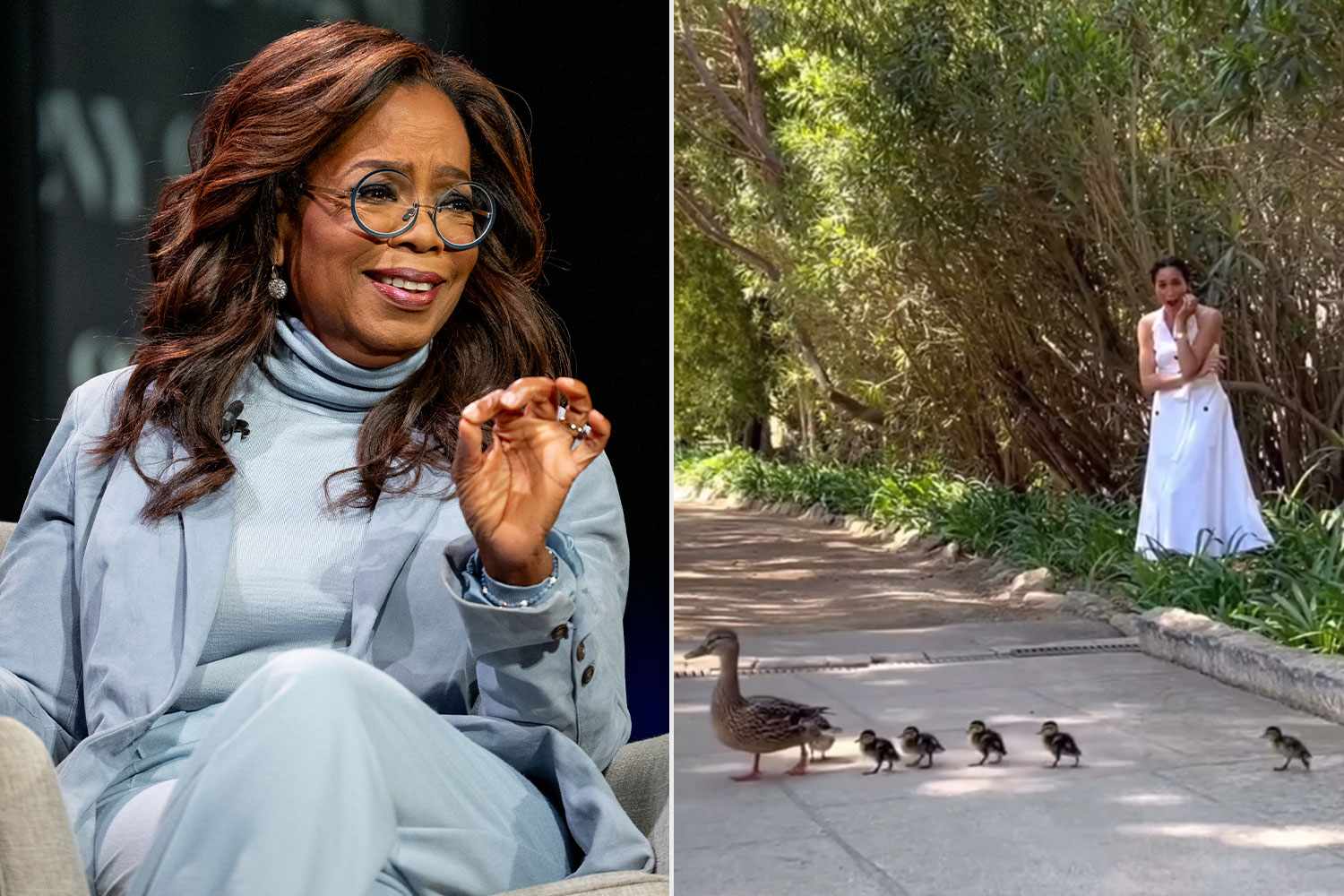 Meghan Markle and Prince Harry Had a Duck Emergency at Oprah Winfrey's House